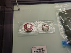 -816工程景区