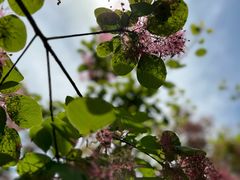 -周口店坡峰岭风景区