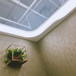 -Priscilla皮肤管理中心