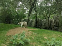 -北京野生动物园
