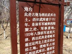 -桃花堤公园