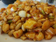 -重阳大酒楼