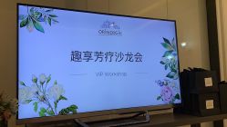 -奥斯芬欧系贵族SPA