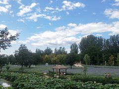 -静之湖湖畔餐厅