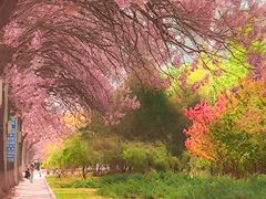 -亦庄创意生活广场