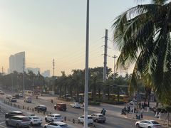 -万绿园