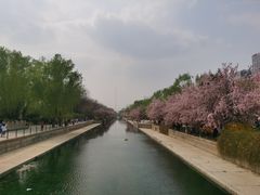 -元大都城垣遗址公园