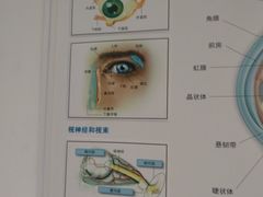 -浙江大学医学院附属第二医院眼科中心