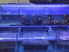 -大连海鲜斑鱼火锅(安平店)