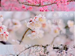 -白塘生态植物园
