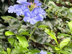 -阳光山水江湖菜馆(西山龙门店)