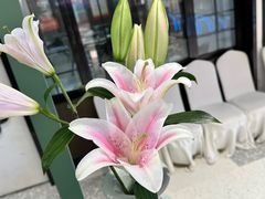 -南堂馆·新川菜(春熙路店)