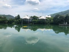 -帐篷客·溪龙茶谷度假酒店