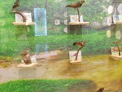 -下渚湖国家湿地公园科普馆