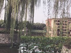 -天赐温泉
