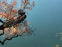 -蒋氏故居
