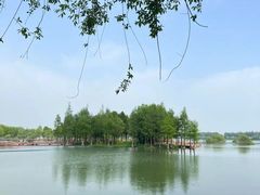 -贡湖湾湿地公园