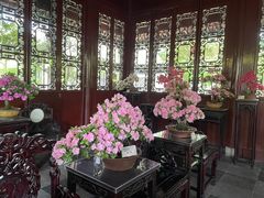 -上海醉白池公园