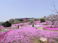 -棒棰岛宾馆景区