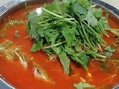 酸汤鱼-贵州人家·酸汤火锅·20年老字号