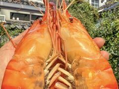 -水岸居湖景农家乐·阳澄湖大闸蟹