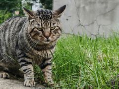 -盛江山自助料理(奥莱锦辉购物广场店)