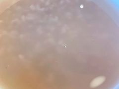 养生粥-金谷园饺子锅贴(亦庄店)