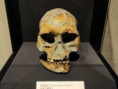 -北京周口店北京人遗址博物馆