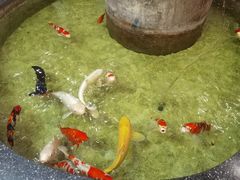-古莲·影院足道·按摩SPA(水上温泉店)
