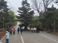 -沈阳植物园