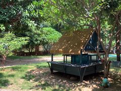 -居住主题小金星幼儿园