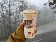 -茶颜悦色(岳麓山顶店)