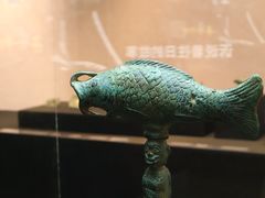 -烟台市博物馆
