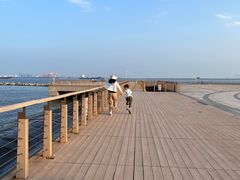 -东疆建设开发纪念公园