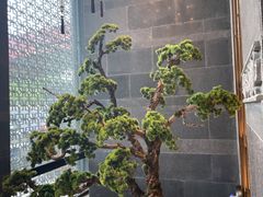 -悦秀·高级粤菜