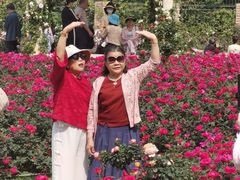 -人民公园(罗湖区)