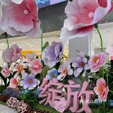 春日绽放 凯德mall