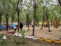 -西部长青自然儿童乐园