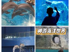 -威海华夏城景区