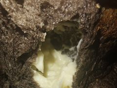 -LELECHA乐乐茶(新街口大洋店)