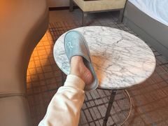 -上海龙之梦万丽酒店