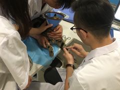-美迦爱-牙专科·兔科·骨科诊疗中心(北苑店)
