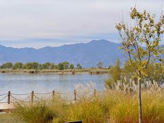 -野鸭湖国家湿地公园