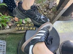 -动邦皮划艇·桨板·独木舟·团建户外运动俱乐部