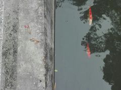 -广东温泉宾馆
