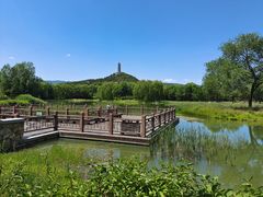 -北坞公园
