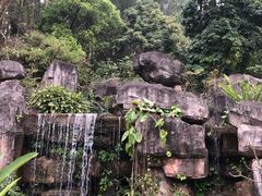 -广州神农草堂中医药博物馆