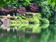 -白马涧龙池景区