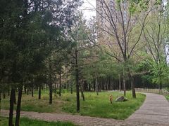 -森林公园(尖草坪区)