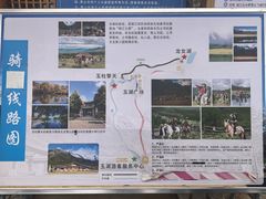 -玉湖村